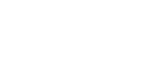Lucky 13 Racing - Home